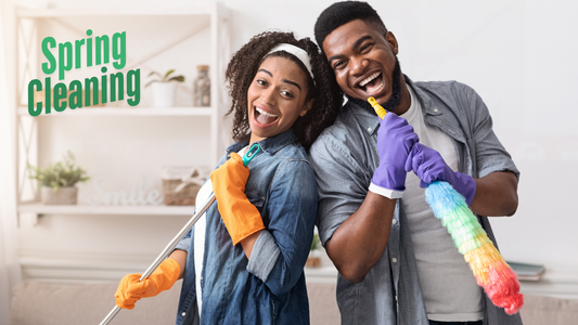 Spring Cleaning SOS? 🍃 Brigii Vacuum Erases Winter Dust in Minutes!