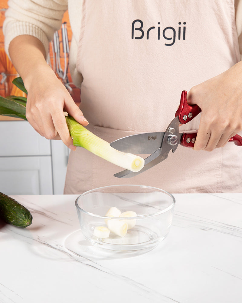 Brigii Kitchen Shear, Stainless Steel Heavy Duty Poultry Shears - KS01