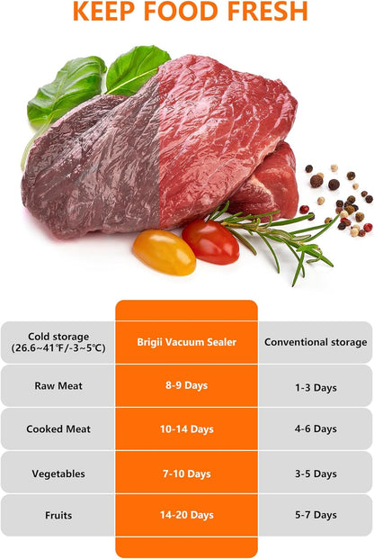 Brigii Vacuum Sealer - VS02