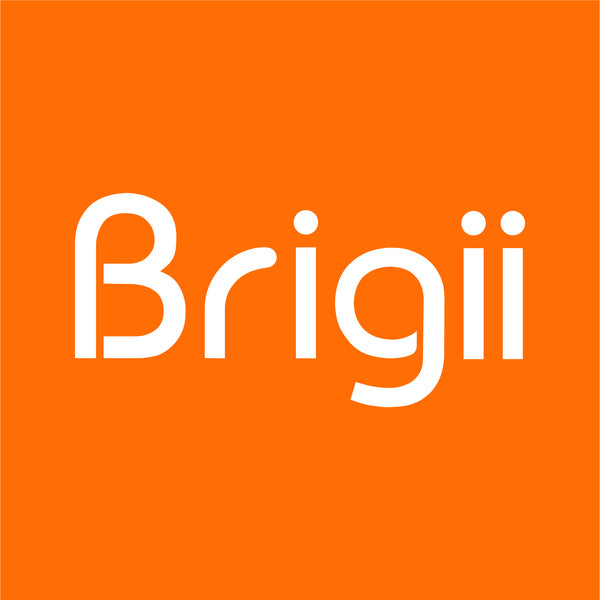 Brigii